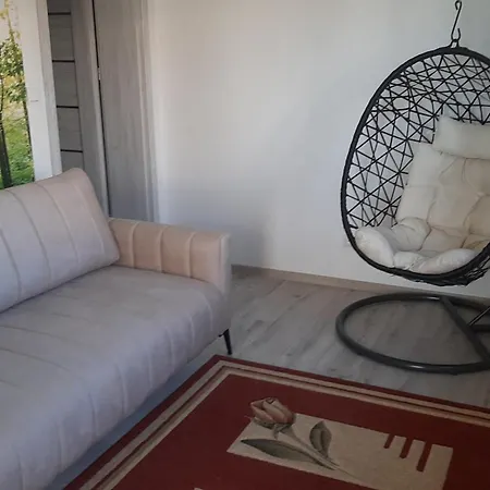 Modern Comfy *
